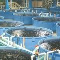  Comment se lancer dans l'aquaculture 