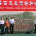 JO-2008: la forêt de l'amitié olympique laissera un héritage vert à Beijing  