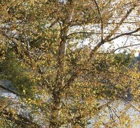 Le week-end des Priziou