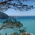 L'eau: de l'Odyssée à l'or bleu