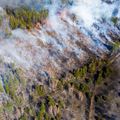 Feu de forêt en Ukraine