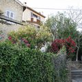 A l'intérieur du village....sous le soleil quelle merveille