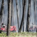 Un nouveau feu de forêt