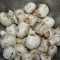 CHAMPIGNONS A L'AIL SANS THERMOMIX