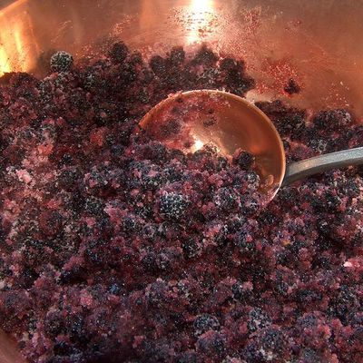 confiure de mûres sauvages