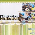 {plantation}