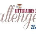 Bilan de mes challenges -> été 2016