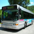 Les GX117, de merveilleux midibus ! 