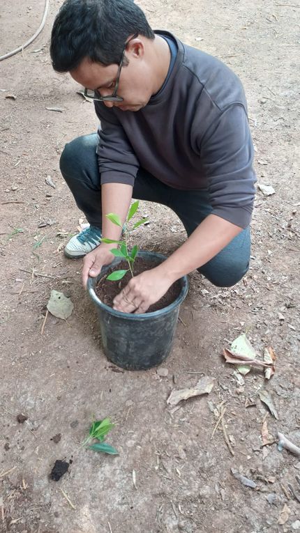 Faire une plantation