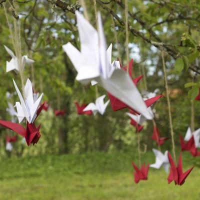 La fête de l'arête, c'était chouette