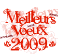 BONNE ANNEE ET TOUS MES MEILLEURS VOEUX POUR 2009