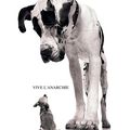 Canicule 6 (Vive l'anarchie)