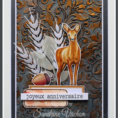 Carte d'anniversaire (DT PCC)