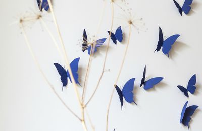 Vol de papillons { Butterflies flight }