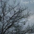 Projet 52 #51 | Hiver