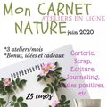 ATELIERS EN LIGNE : CARNET NATURE "LE LANGAGE DES FLEURS" 