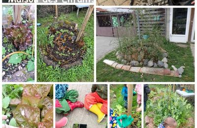 ateliers permaculture mars 2025 MDE