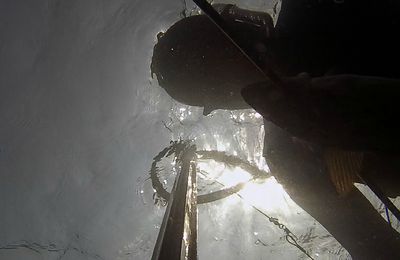 Chasse sous-marine au lieux à Plougrescant, images GOPRO HERO 3.