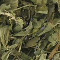 vente herboristerie, tisane basilic feuilles bio 