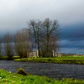 samedi 17 mars. Brochet à la mouche