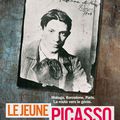  EXPOSITIONS SUR GRAND ÉCRAN/  Le jeune Picasso au cinéma le 20 février! 