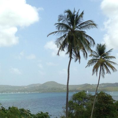 Paysages de la Martinique 