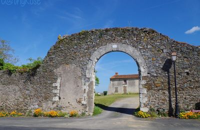 Saint-Florent le Vieil 2