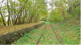 Ferroviaire en Normandie : besoin d'un coup de pouce à sa vitalité du côté de Granville...