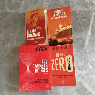 Livres 2025 (4)