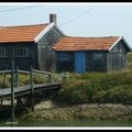 Bords de canal en Charentes