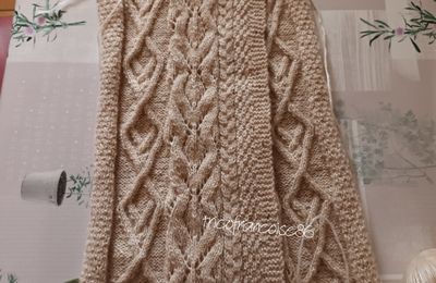 Suite de ma veste ...