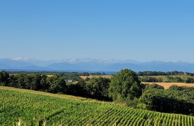 Jeudi 10 juillet - Monties