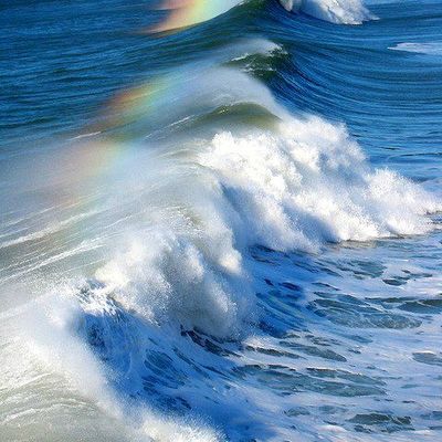 L'arche de Noë était-elle un bateau?