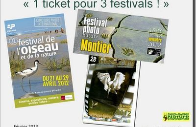 1 ticket pour 3 festivals ....