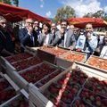 45 ème Fête des fraises et du terroir à CARROS le dimanche 28 avril 2019