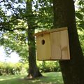 DIY Fabriquer un nichoir pour oiseaux