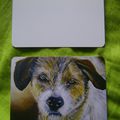 Cartes postales pour Aidons les Animaux / Help a greek stray