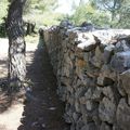 Le mur de la peste, 5 Mai 19