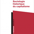 Les trois âges du capitalisme. Pierre François, Claire Lemercier " Sociologie historique du capitalisme "