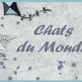 Chats du monde