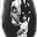 The Slits (« les fentes » en anglais) est un