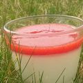 PANNA COTTA CITRON VERT ET SON COULIS FRAISE & BASILIC