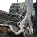 Cambodge Angkor Vat