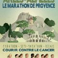 Semi Marathon Arles Les Alpilles 2015
