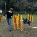  Agility 1