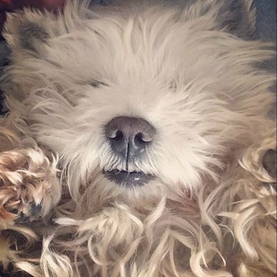 Des Beatles à Dries Van Noten