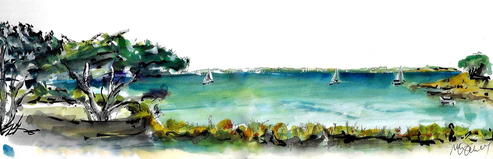 P.N. chemin du petit mousse