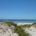 La Corse... Ostriconi