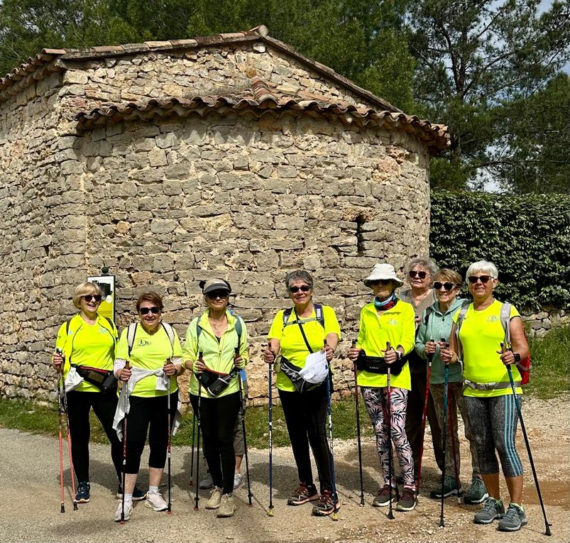 Sortie nature du 10 mai 2025 à Carcès