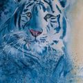 Tigre des neiges